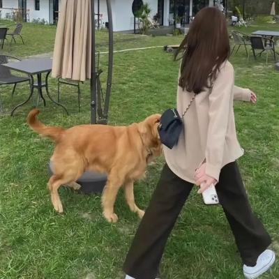 没有角色的男人